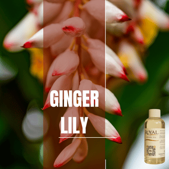 Ginger & Lily| Aroma Yağı Yeniden Dolum Kartuşu 125ml³