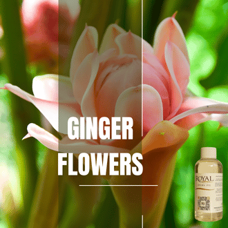 Ginger Flower | Aroma Yağı Yeniden Dolum Kartuşu 125ml³