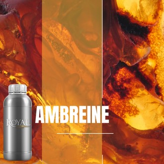 Ambreine | 250 ML Diffuser Oil