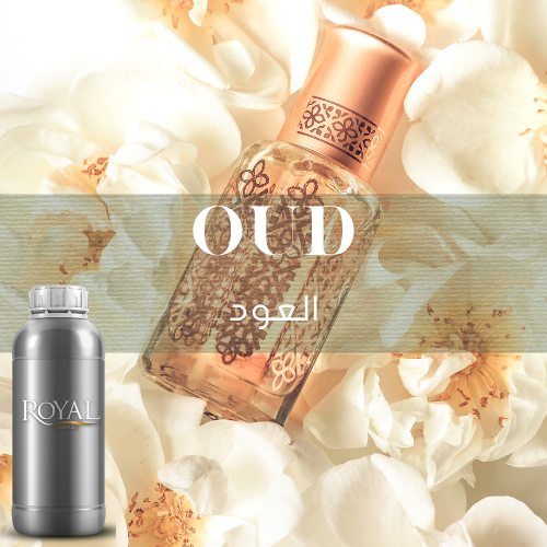 Oud | 250 ML Diffuser Oil