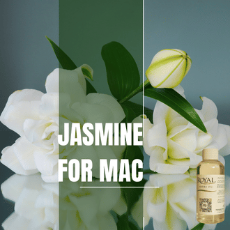 White Jasmin For Mac | 125ml³ Diffuser Oil