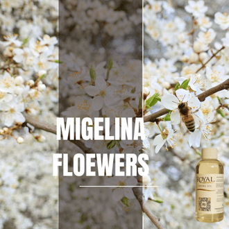 Miglina Flowers | 125ml³ Diffuser Oil