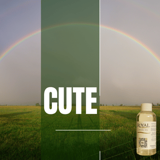 Cute | 125ml³ Diffuser Oil