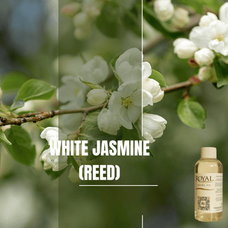 White Jasmine (Reed) | 125ml³ Diffuser Oil