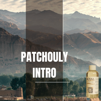 بۆنی ئینترۆ پاچۆلی 125ml3