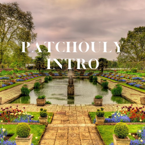 Patchouly Intro | 125ml³ Diffuser Oil