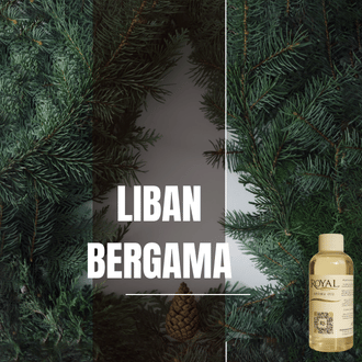 Liban Bergama | 125ml³ Diffuser Oil