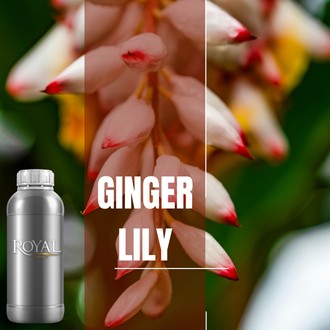 Ginger & Lily | Ltr Diffuser Oil