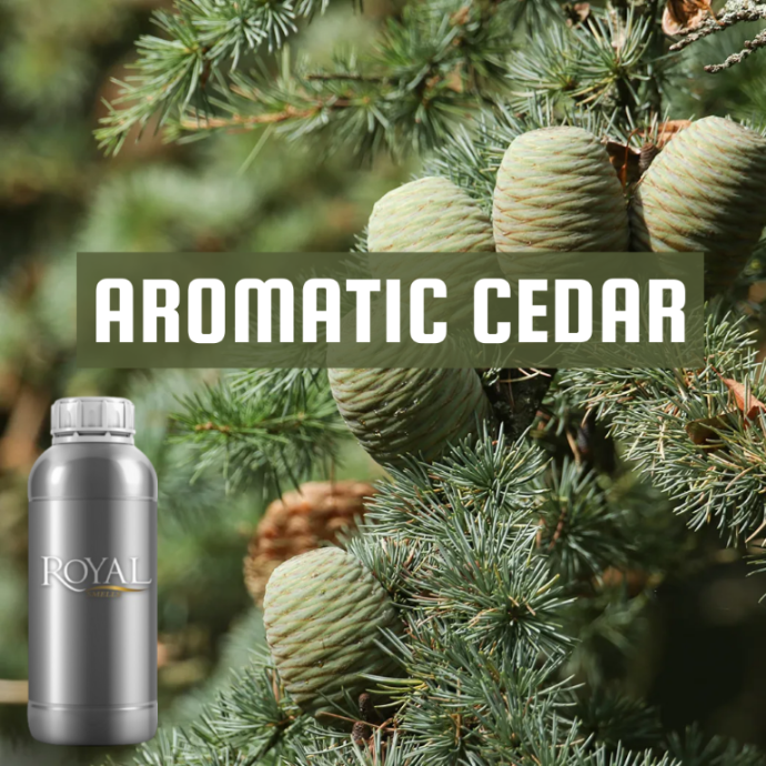 Aromatic Cedar | Diffuser Oil Ltr