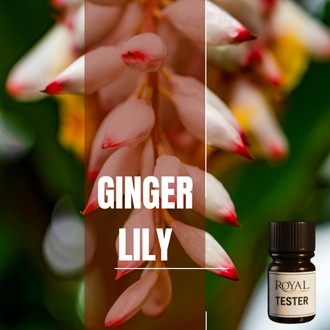[RSDFPT5ML-4467425] Ginger & Lily | 5ml³ Diffuser Tester