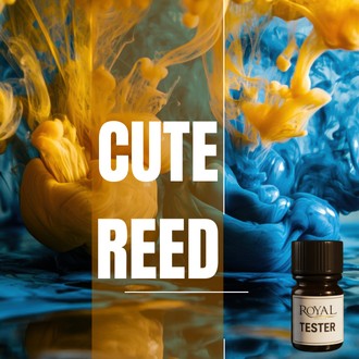 [RSDFPT5ML-4518502] Cute Reed | 5ml³ Diffuser Tester