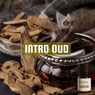 Intro Oud | 5ml³ Diffuser Tester