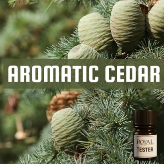 Aromatic Cedar | 5ml³ Diffuser Tester