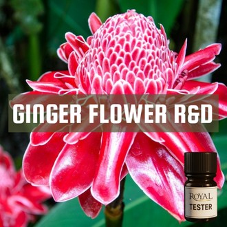Ginger Flower R&D | 5ml³ Diffuser Tester