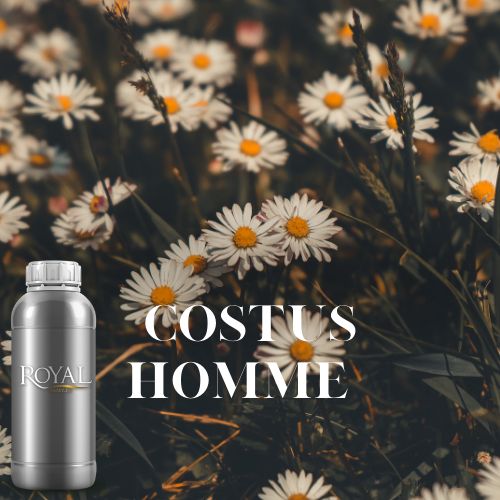 Costus Homme | 250 ML Diffuser Oil