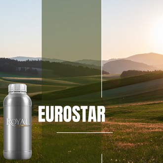 Eurostar | 250 ML Diffuser Oil