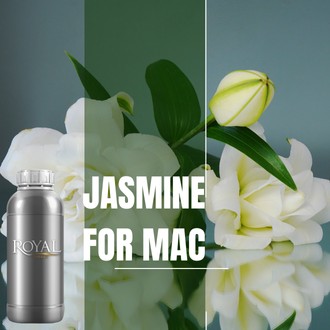 White Jasmin For Mac | 250 ML Diffuser Oil