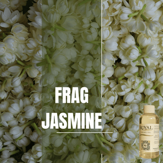 [RS125ML-4605647] Frag Jasmin | 125ml³ Diffuser Oil
