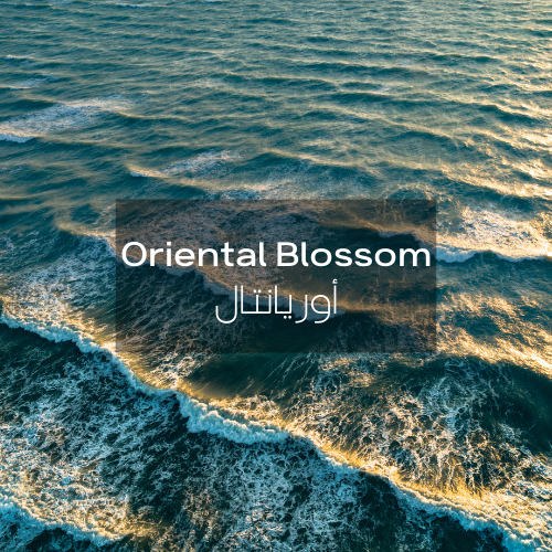 [RS125ML-4615339] Oriental Blossom | Aroma Yağı Yeniden Dolum Kartuşu 125ml³