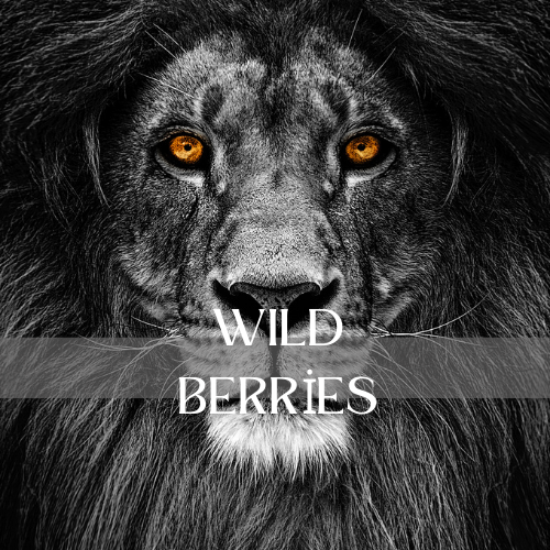 [RS125ML-4612087] Wild Berries | Aroma Yağı Yeniden Dolum Kartuşu 125ml³