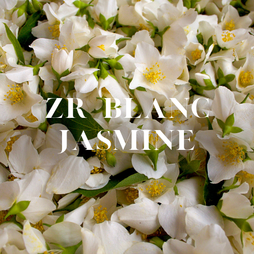 [RS125ML-4632056] عطر زد  آر - بلانج ياسمين 125 مل³