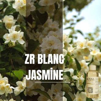 [RS125ML-4632056] ZR Blanc Jasmine | 125ml³ Diffuser Oil