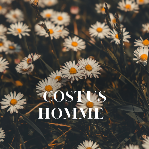 [RS125ML-4632058] Costus Homme | Aroma Yağı Yeniden Dolum Kartuşu 125ml³