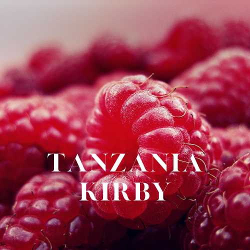 [RS125ML-4632059] Tanzania Kirby | Aroma Yağı Yeniden Dolum Kartuşu 125ml³