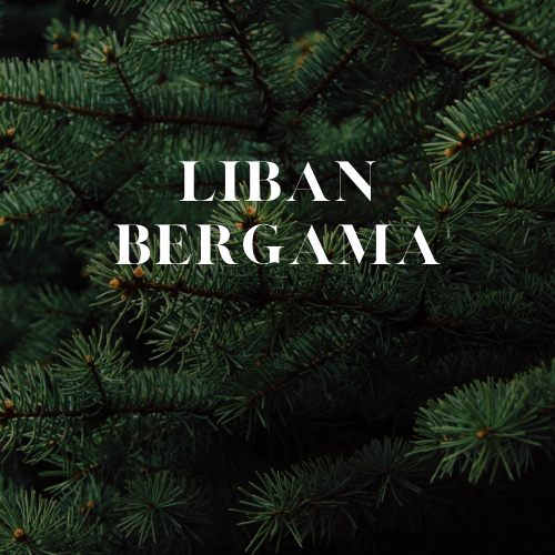 [RS125ML-4632080] Liban Bergama | Aroma Oil Refill Cartridge 125ml³