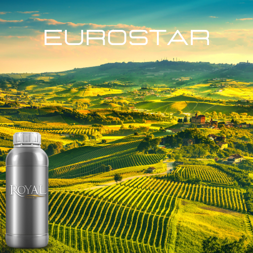 [RS1LTR-4467411] Eurostar | Diffuser Oil Ltr
