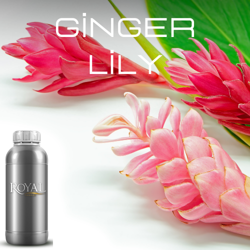 [RS1LTR-4467425] عطر جنجر و زنبق| أروما دفيوزر - لتر