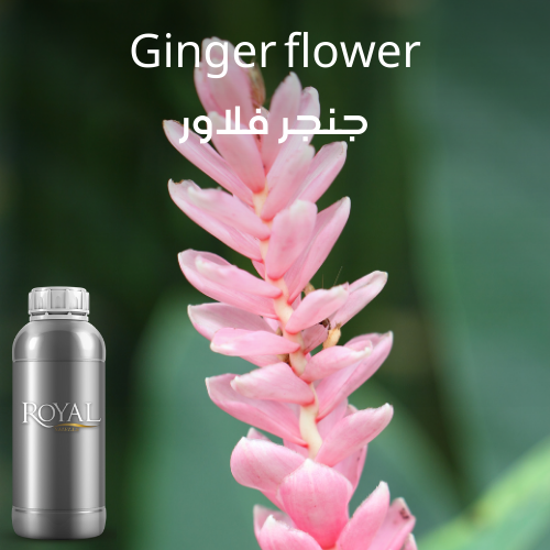 [RS1LTR-4518505] عطر جنجر فلاور | أروما دفيوزر - لتر