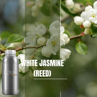 [RS1LTR-4518511] White Jasmine (Reed) | Ltr Diffuser Oil