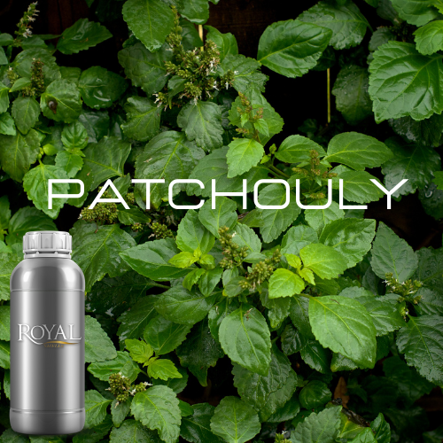 [RS1LTR-4612080] Patchouly | Diffuser Oil Ltr