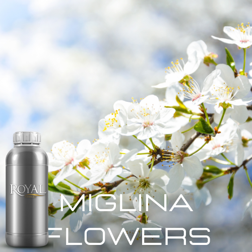 [RS1LTR-4612082] Miglina Flowers | Diffuser Oil Ltr