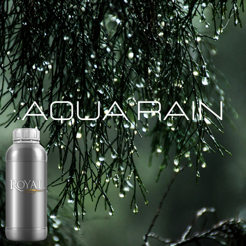 [RS1LTR-4612083] Aqua Rain | Diffuser Oil Ltr