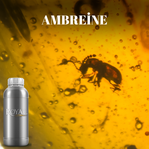 [RS1LTR-4612088] Ambreine | Diffuser Oil Ltr