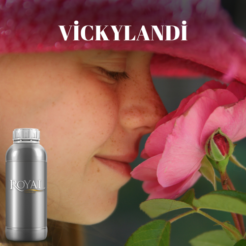 [RS1LTR-4612097] عطر فيكيلاند| أروما دفيوزر - لتر