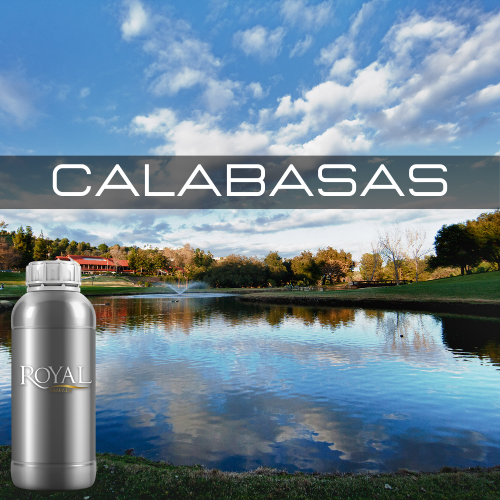 [RS1LTR-4612098] Calabasas | Diffuser Oil Ltr