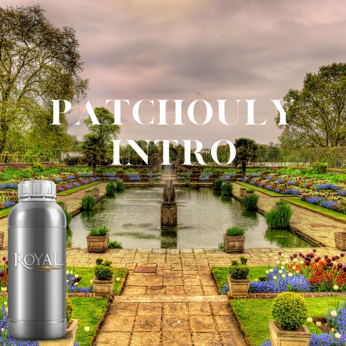 [RS1LTR-4632077] Patchouly Intro| Diffuser Oil Ltr