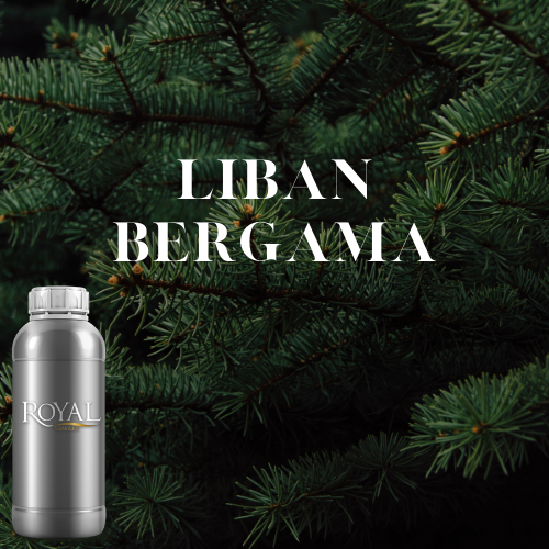 [RS1LTR-4632080] عطر ليبيان بيرغاما| أروما دفيوزر - لتر