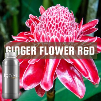 [RS1LTR-4653946] Ginger Flower R&D | Ltr Diffuser Oil