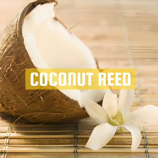 [RS125ML-4650590] Coconut Reed | Aroma Oil Refill Cartridge 125ml³