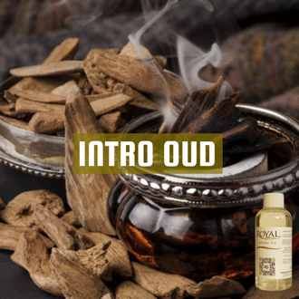 [RS125ML-4651765] Intro Oud | 125ml³ Diffuser Oil