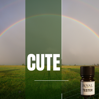 [RSDFPT5ML-4467409] Cute | 5ml³ Diffuser Tester