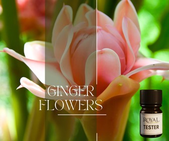 [RSDFPT5ML-4518505] Ginger Flower | 5ml³ Diffuser Tester