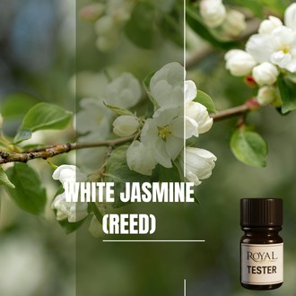 [RSDFPT5ML-4518511] White Jasmine (Reed) | 5ml³ Diffuser Tester