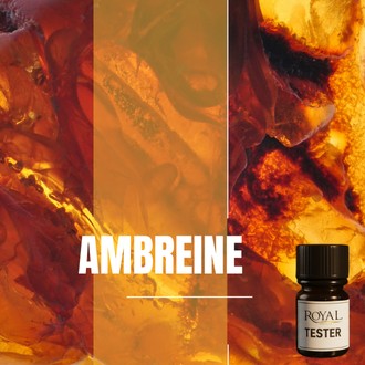 [RSDFPT5ML-4612088] Ambreine | 5ml³ Diffuser Tester