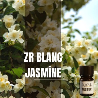 [RSDFPT5ML-4632056] ZR Blanc Jasmine | 5ml³ Diffuser Tester