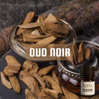 [RSDFPT5ML-4651759]  عود نوير | 5 مل³ تيستر معطرات الجو